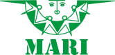 Modern Architects for Rural India (MARI)